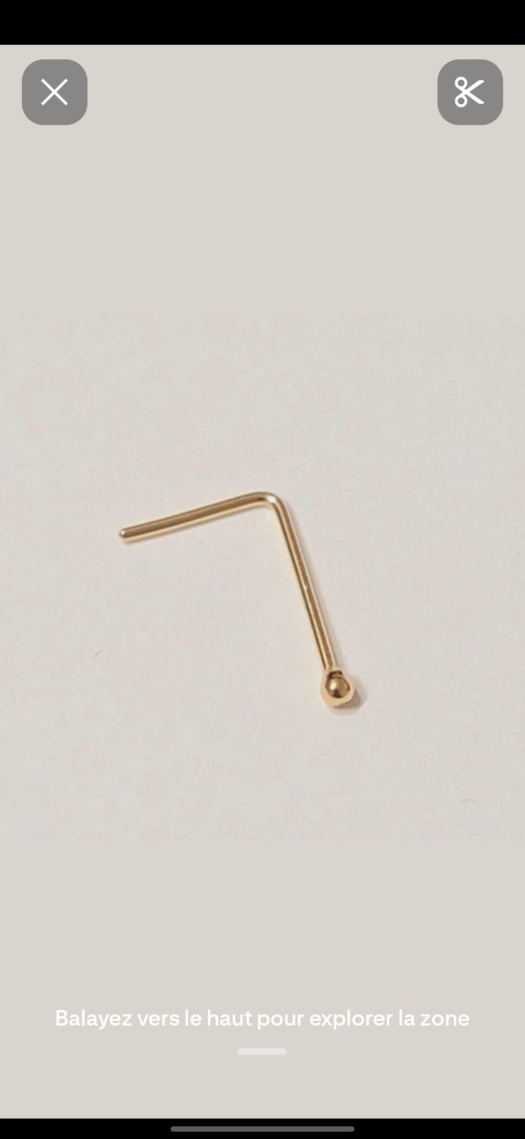 piercing nez