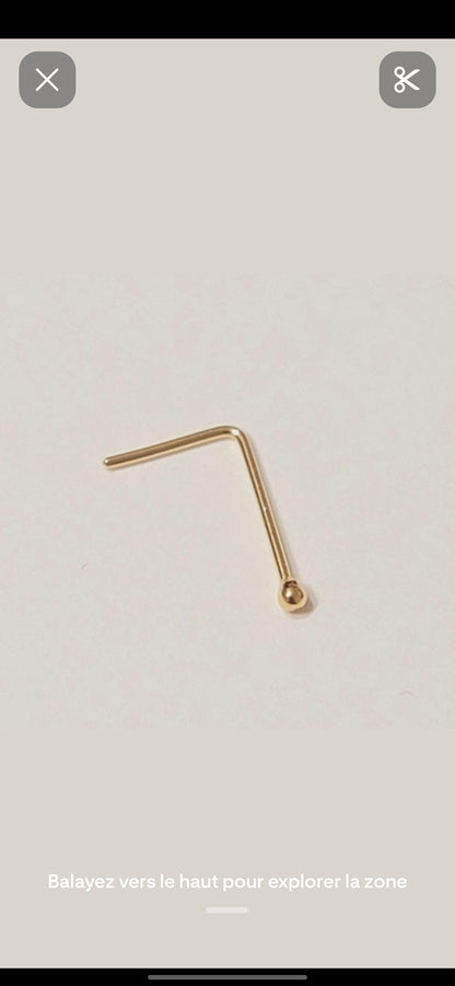 piercing nez